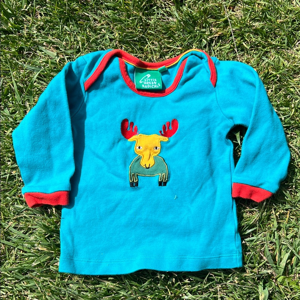 Little green radicals top
